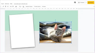 Cara Menyesuaikan Gambar dalam Shape di Google Slide di Ponsel dan PC