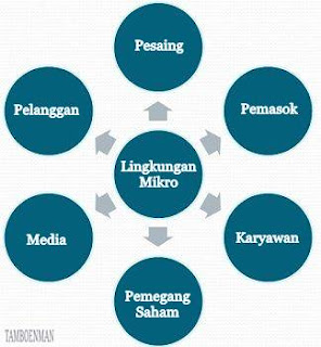 Perbedaan Antara Lingkungan Mikro dan Lingkungan Makro