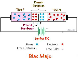 Perbedaan Antara Bias Maju dan Bias Mundur