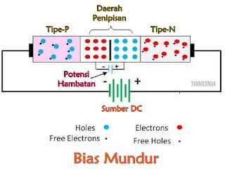 Perbedaan Antara Bias Maju dan Bias Mundur